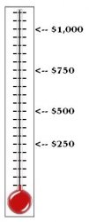 MMIII Donation Meter.JPG